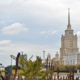 СВЕТЛАНА ЙОВАНОВИЧ